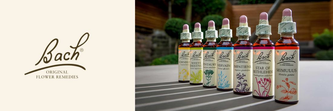 Bach Original Flower Remedies