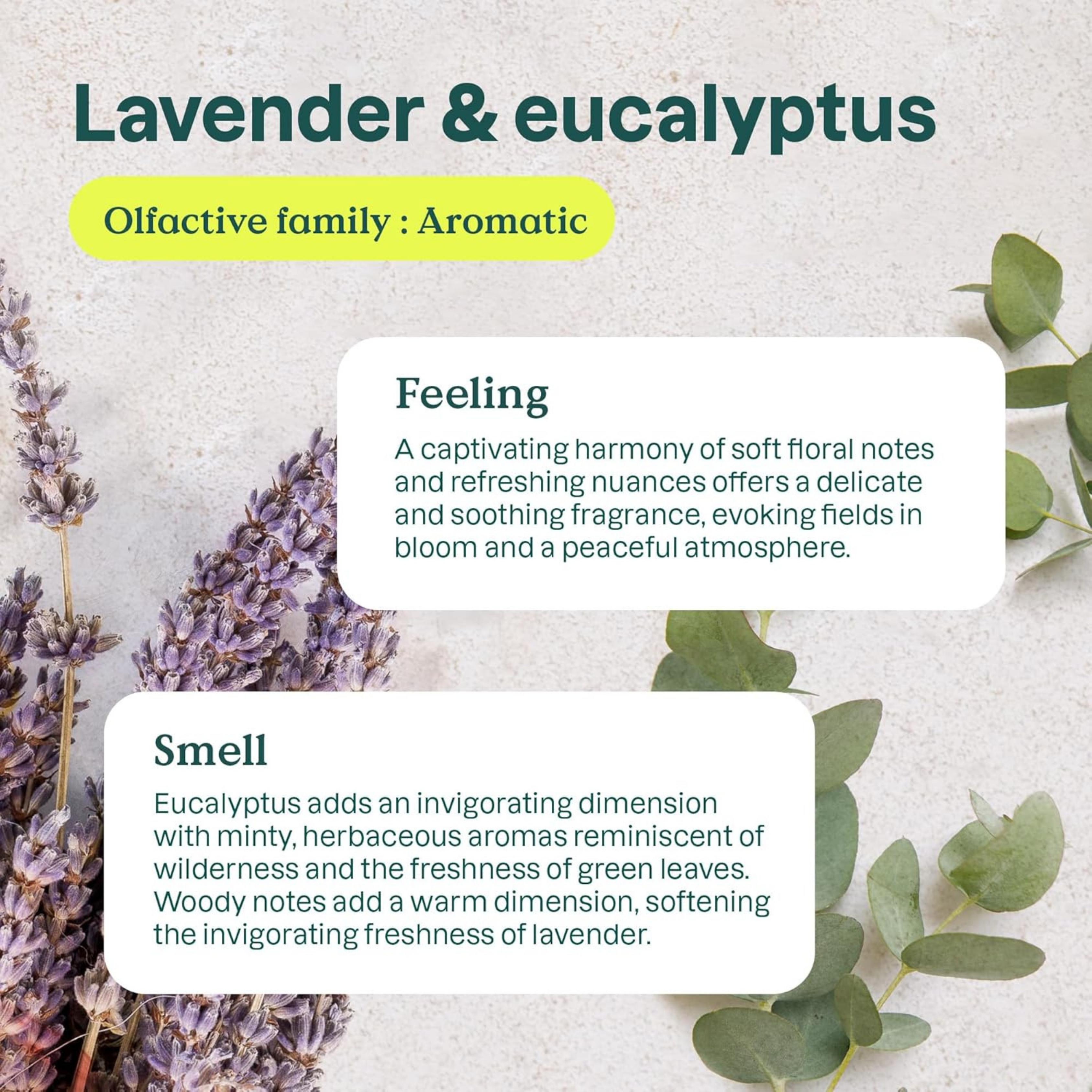 Attitude, Natural Air Purifier Lavender Eucalyptus, 8 Oz