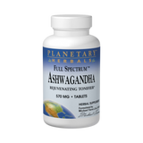 Planetary Herbals, Astragalus Extract, Full Spectrum, 1 Oz