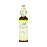 Bach, Original Flower Remedies, Chestnut Bud, 20 Ml