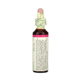 Bach, Original Flower Remedies, Larch, 20 Ml