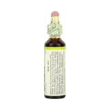 Bach, Original Flower Remedies, White Chestnut, 20 Ml