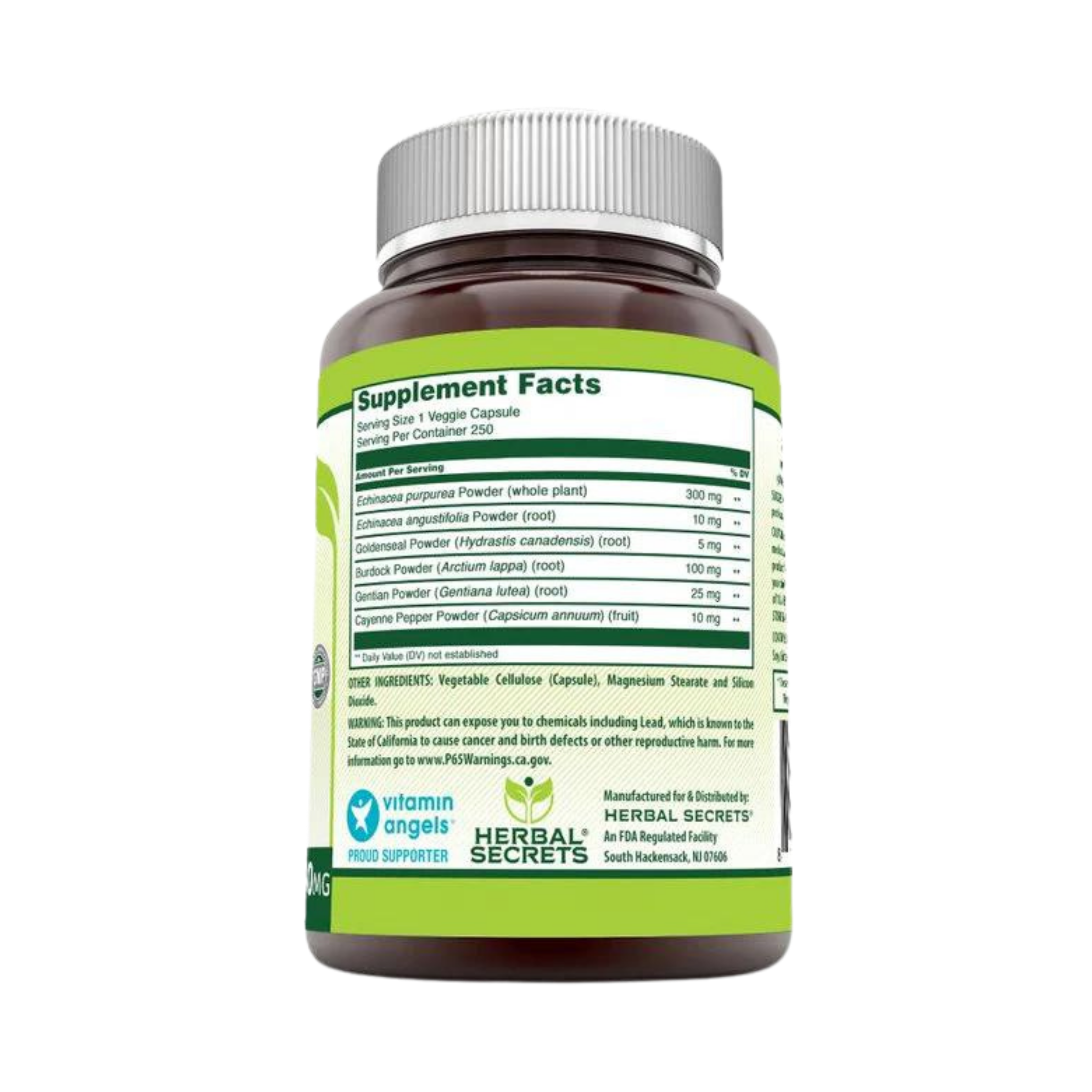 Herbal Secrets, Echinacea & Goldenseal Root, 450 Mg, 250 Veggie Capsules