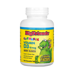 Natural Factors, Big Friends, Chewable Vitamin D3, Berry Bunch, 10 Mcg, 250 Chewable Tablets