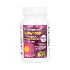 Natural Factors, BioCoenzymated, Methylfolate, 1,000 mcg, 60 Quick Melt Tablets