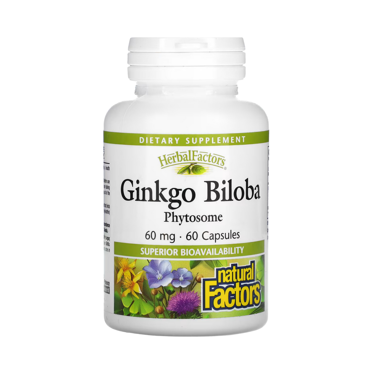 Natural Factors, Ginkgo Biloba, Phytosome, 60 Mg, 60 Capsules