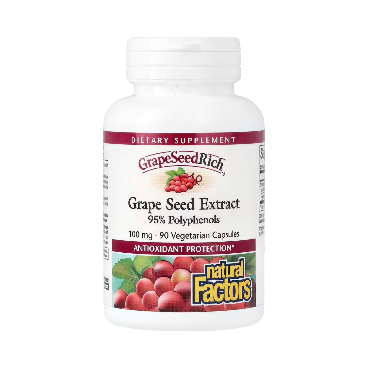 Natural Factors, GrapeSeedRich, Grape Seed Extract, 100 Mg, 90 Vegetarian Capsules