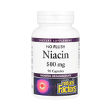 Natural Factors, Niacin, No Flush, 500 Mg, 90 Capsules