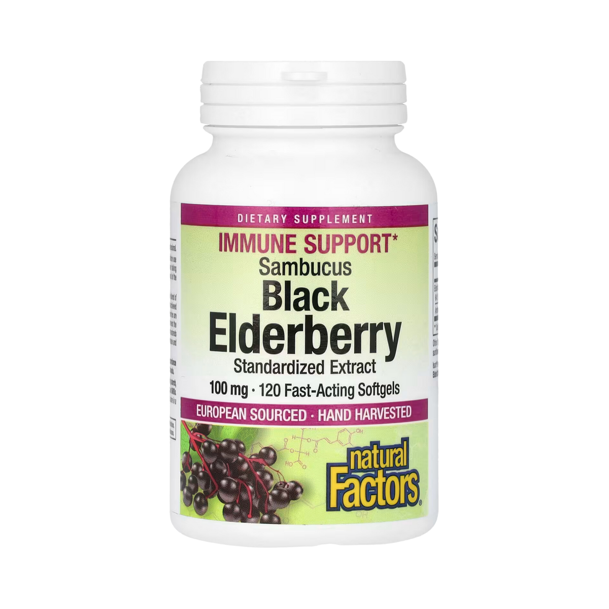 Natural Factors, Sambucus Black Elderberry, 100 Mg, 120 Fast-Acting Softgels