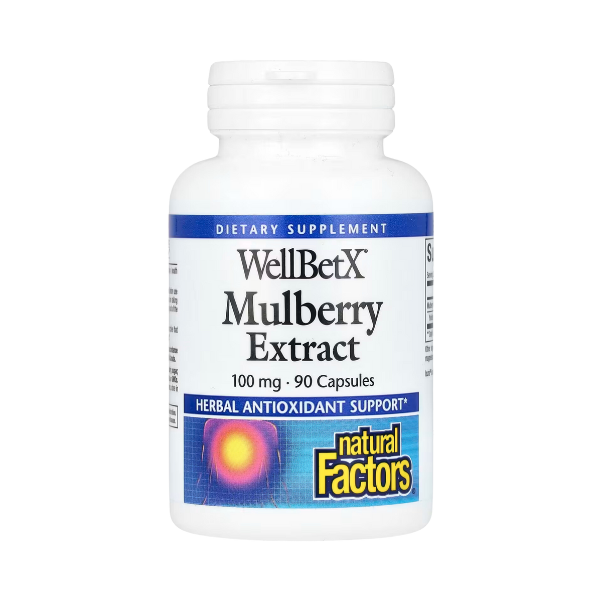 Natural Factors, WellBetX, Mulberry Extract, 100 Mg, 90 Capsules