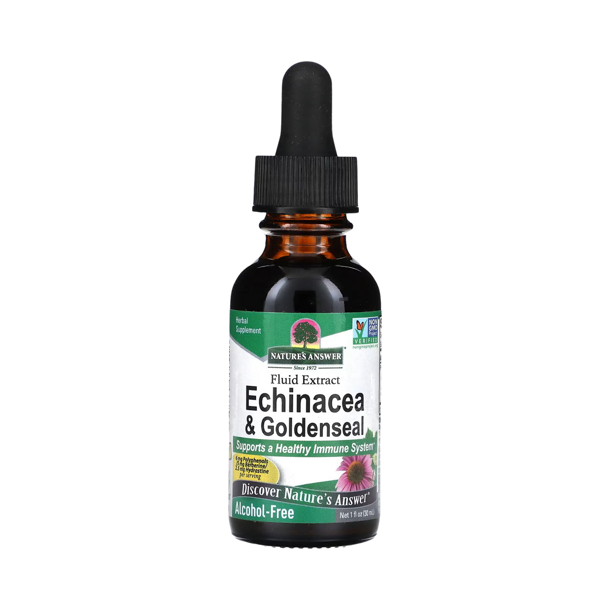 Nature's Answer - ECHINACEA AND GOLDENSEAL ROOT ALCOHOL FREE, 1OZ