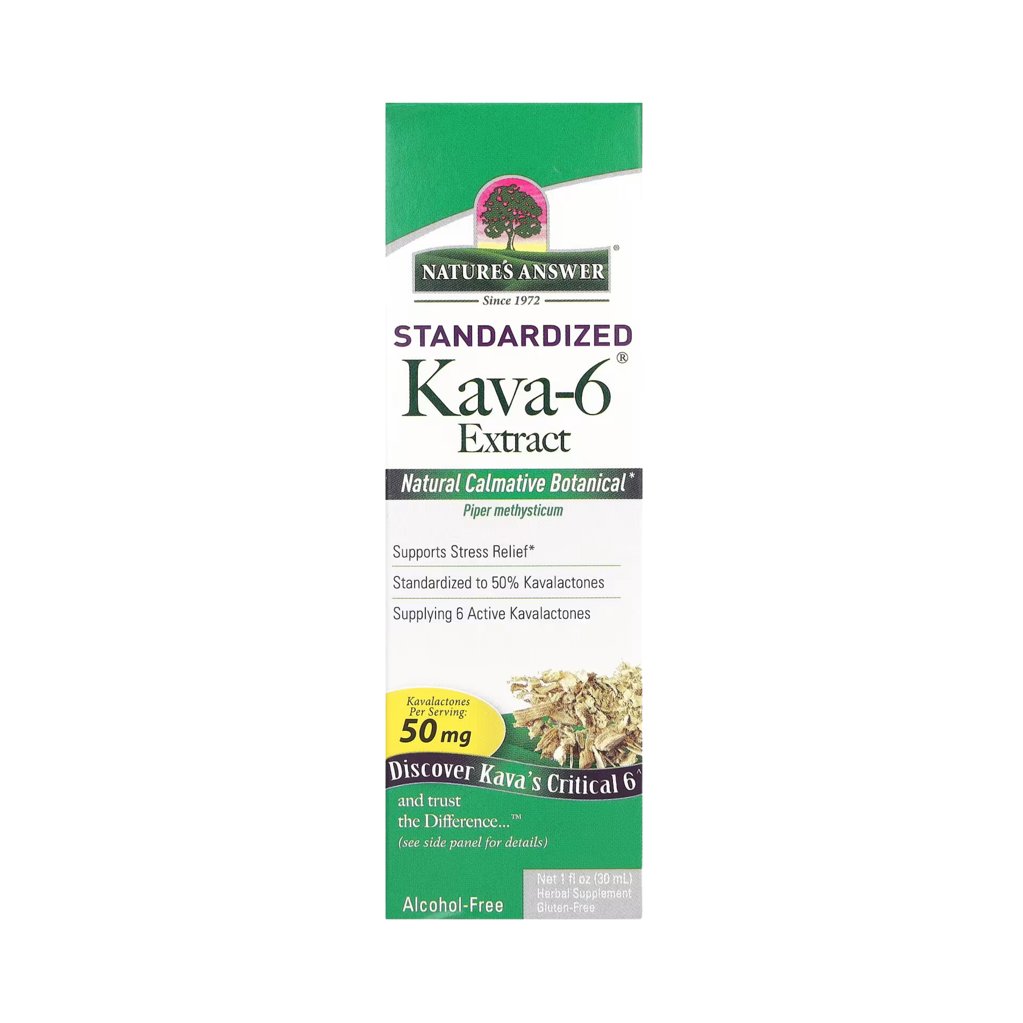 Nature's Answer - Kava-6, Alcohol-Free Extract, 1 fl oz