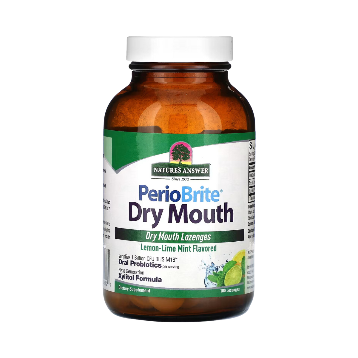 Nature's Answer - PerioBrite Dry Mouth Lozenges, 100 Lozenges