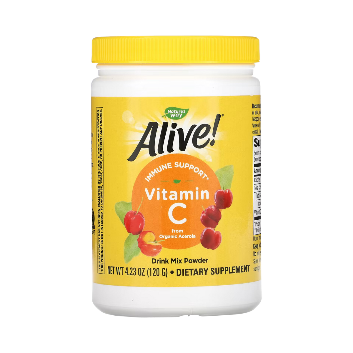 Nature's Way, Alive! Vitamin C Drink Mix Powder, 120 Gm