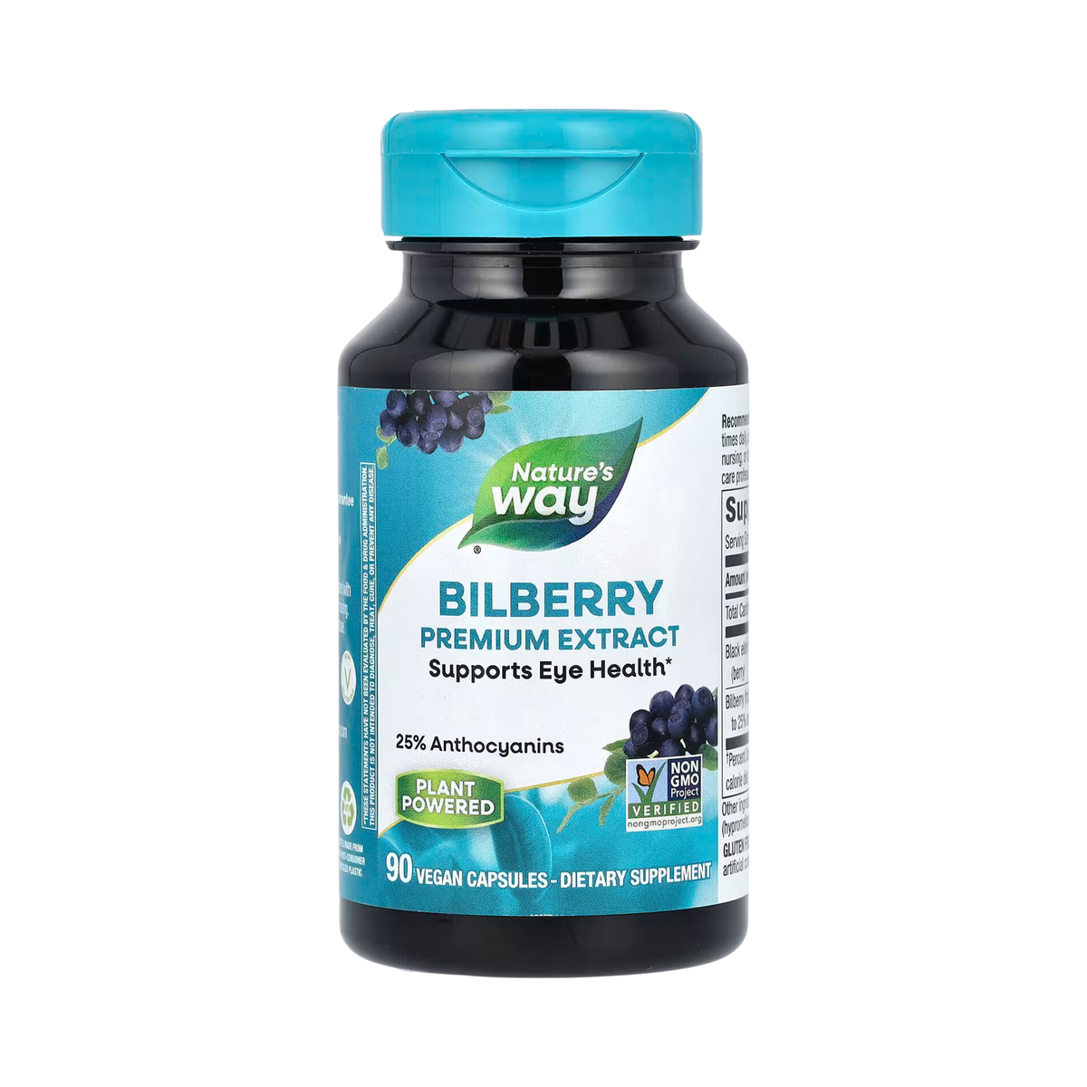 Nature's Way, Bilberry, 90 Capsules