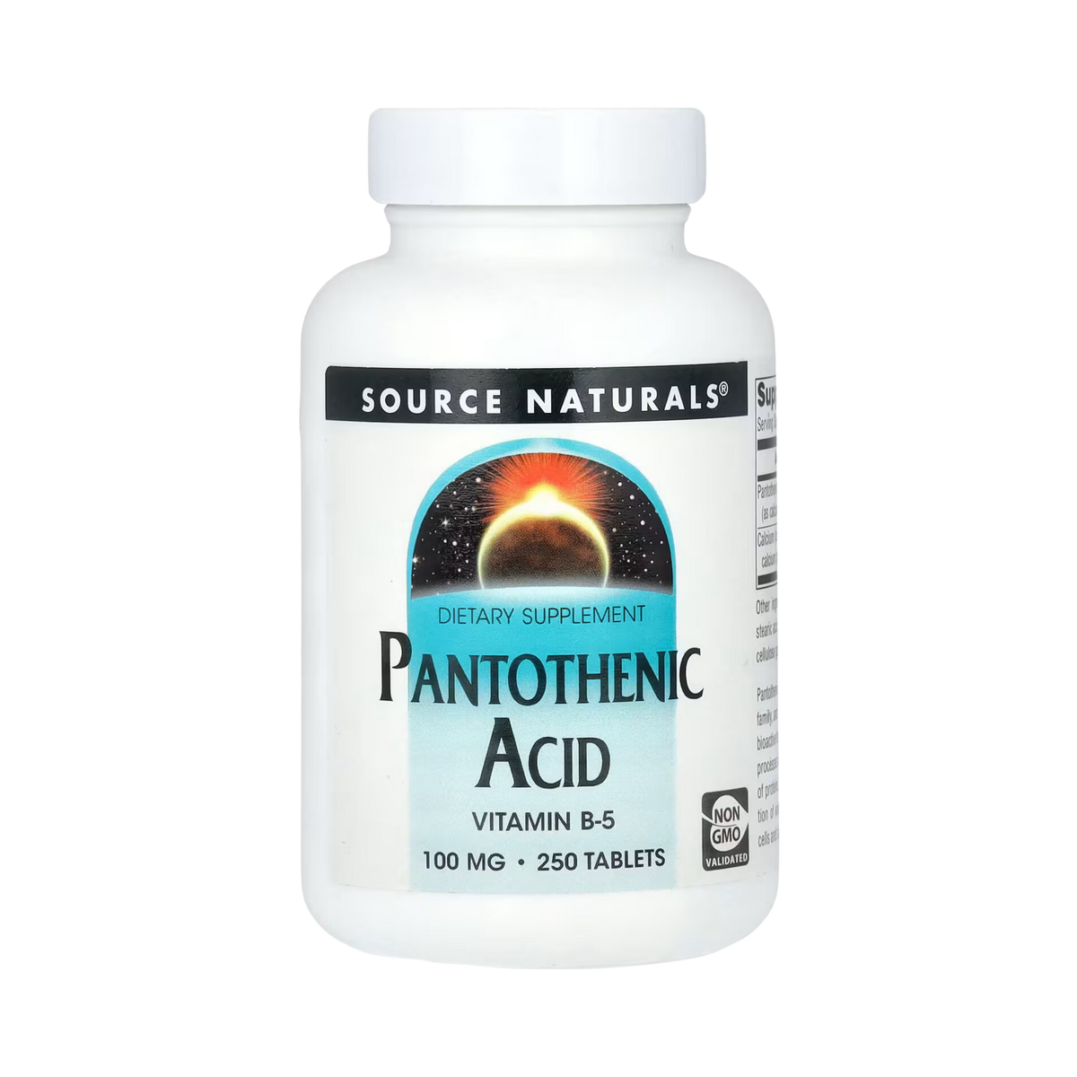 Source Naturals, Pantothenic Acid 100 Mg, 250 Tablets