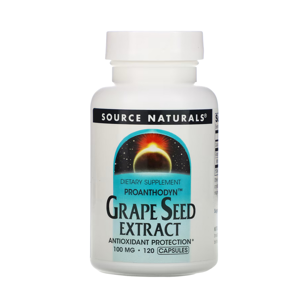 Source Naturals, Grape Seed Extract, Proanthodyn, 100 Mg, 120 Caps