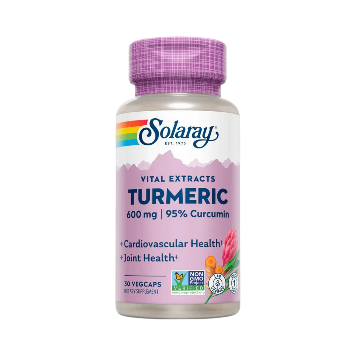 Solaray, Turmeric Extract, 600 Mg, 30 Capsules