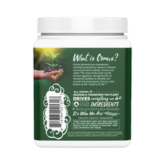 Sunwarrior, Ormus Supergreens, Mint, 225 g