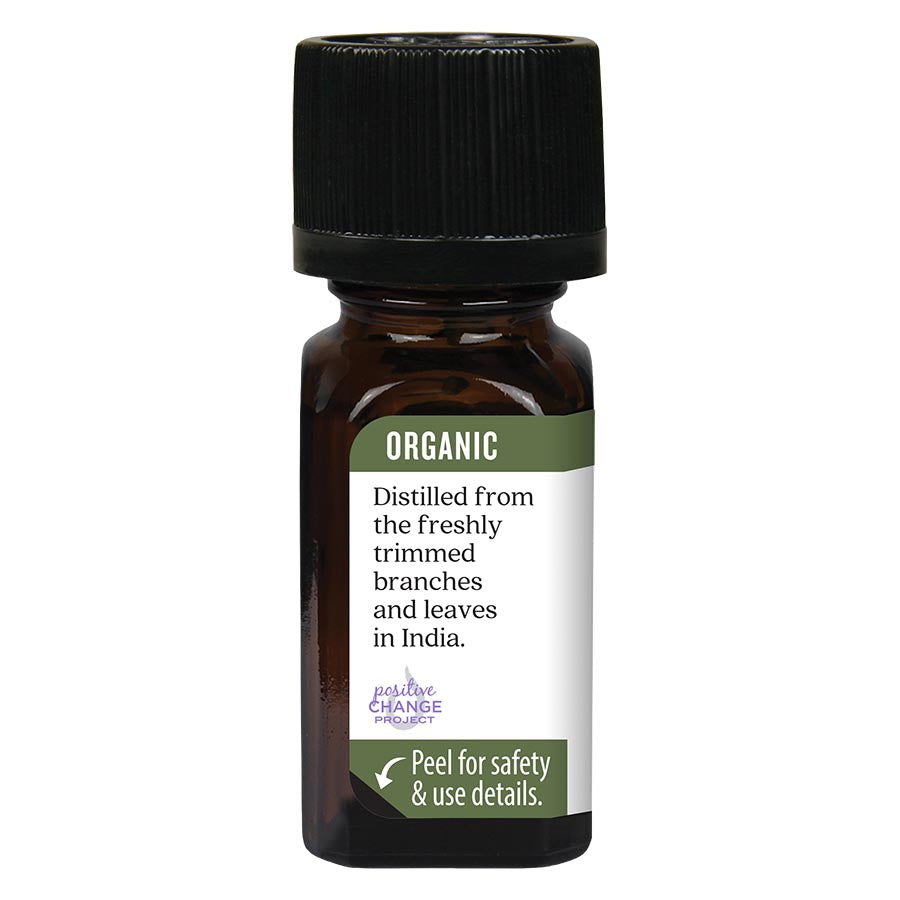 Organic Cajeput Essential Oil 0.25 fl. oz.