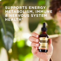 support-immune-system