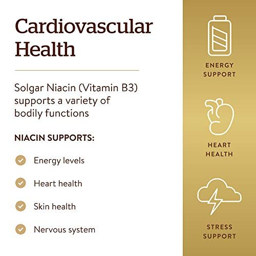 NIACIN VITAMIN B3 100 MG 